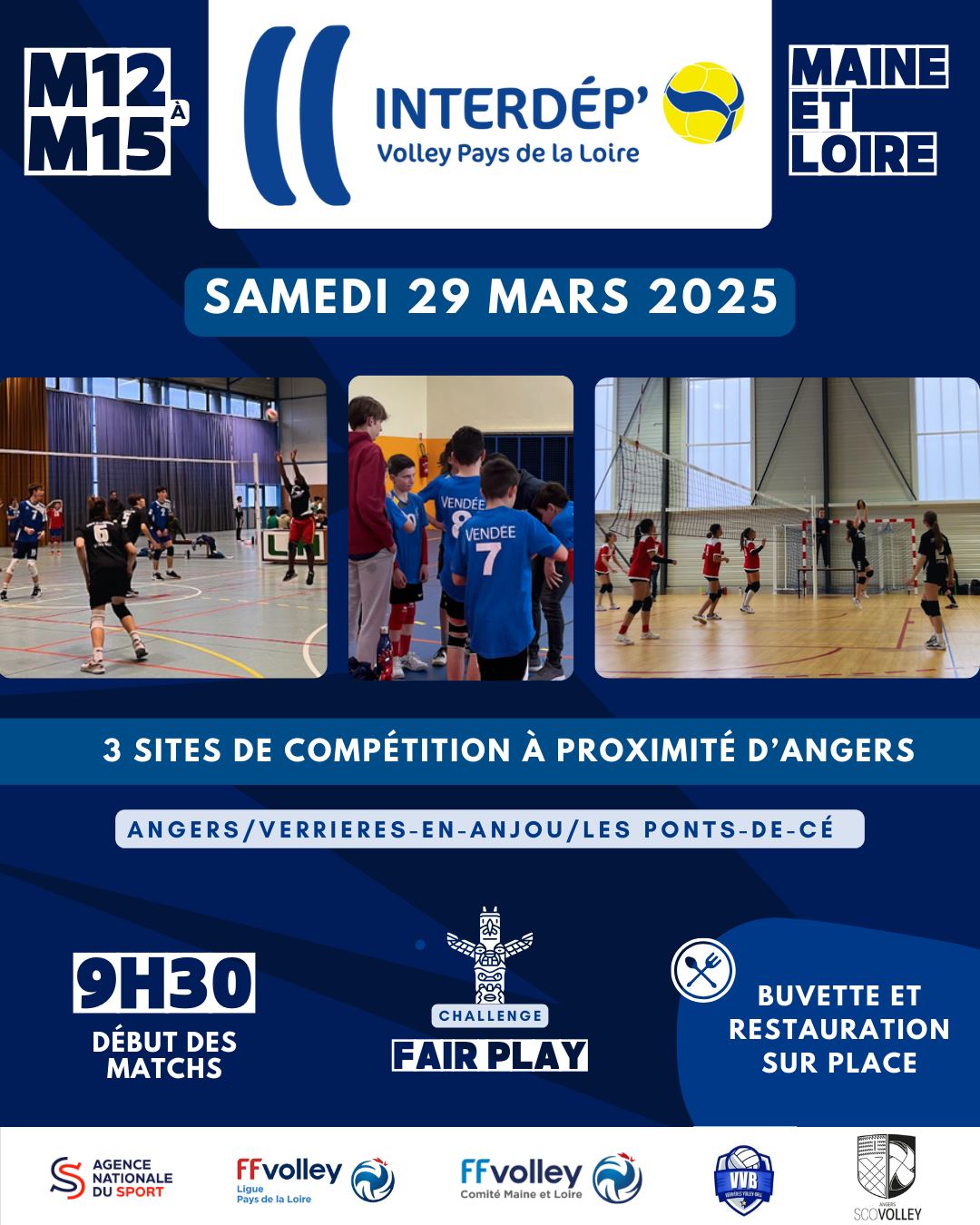 Interdeps volley pays de la loire