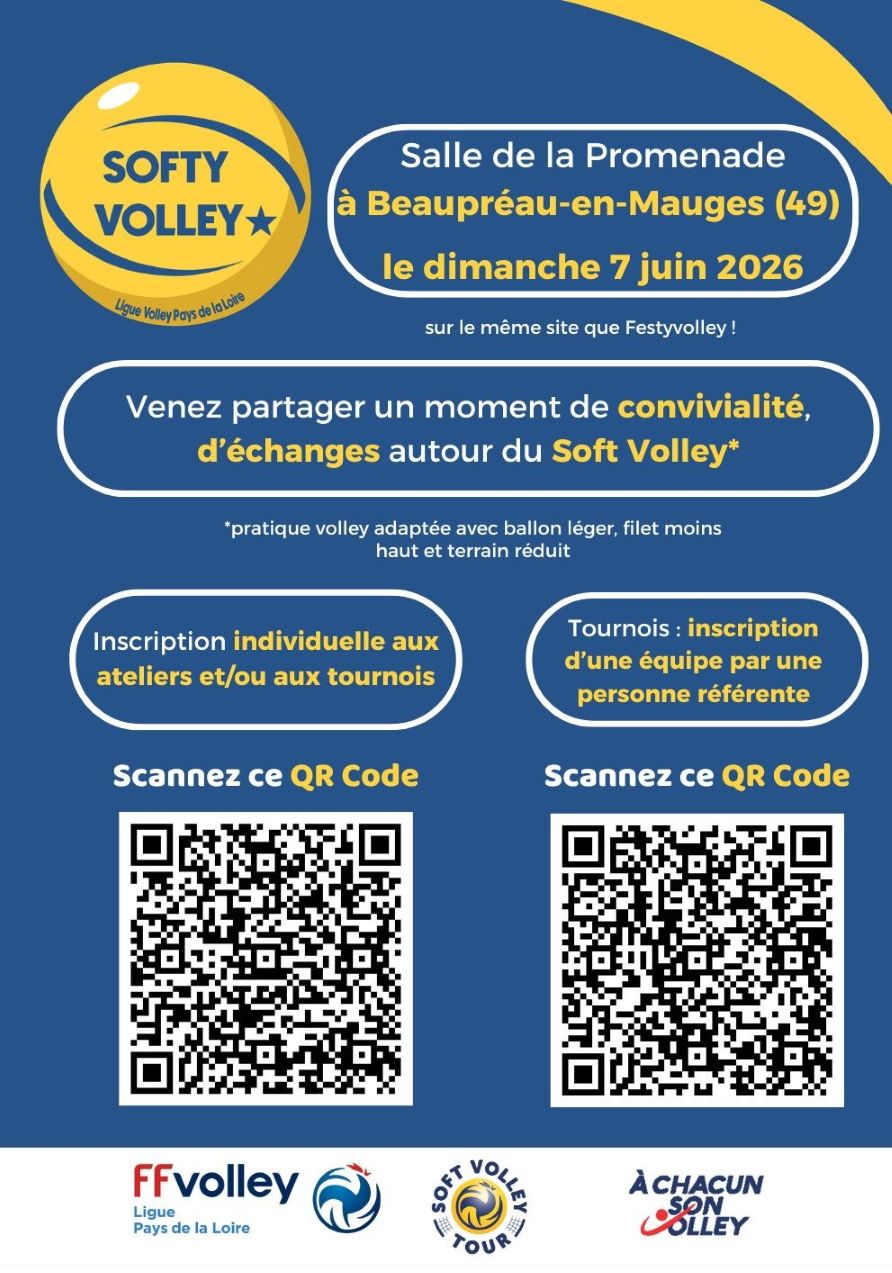 Flyers Softy Volley web